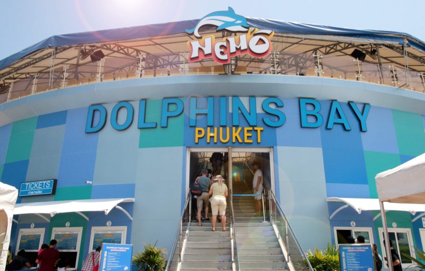 Dolphin Show Phuket