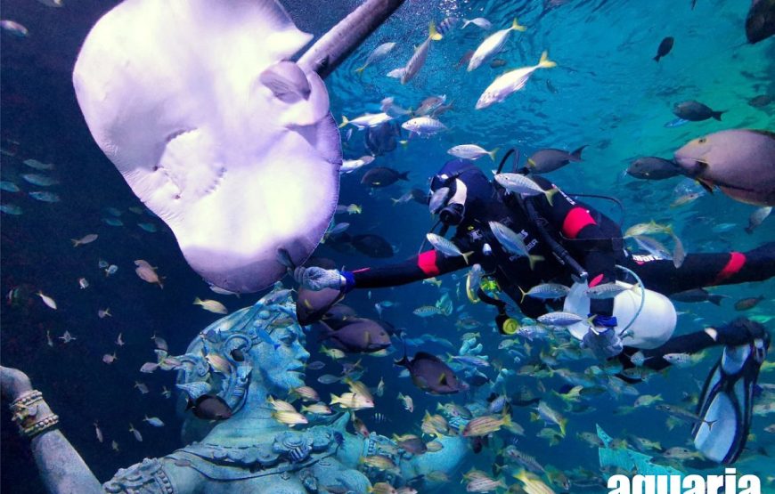 Aquaria Phuket