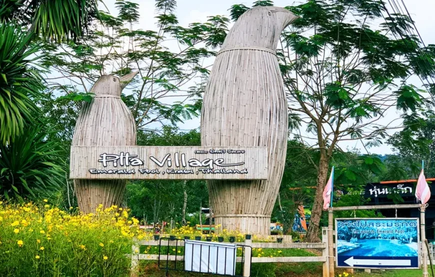 Tiger Cave and Emerald Pool Jungle Tour & Hot water Spring with Lunch
