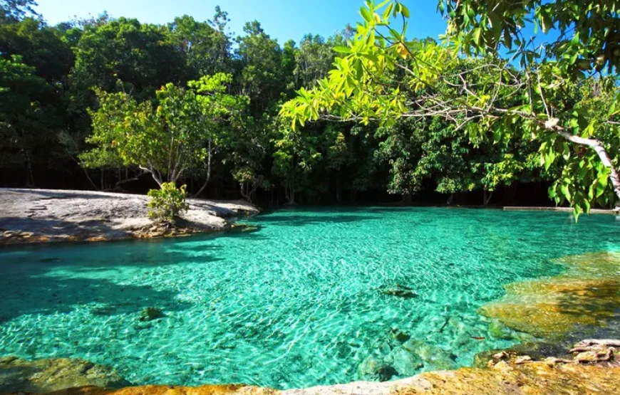 Tiger Cave and Emerald Pool Jungle Tour & Hot water Spring with Lunch