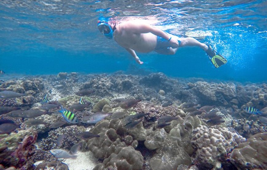 Phi Phi Island by Royal Jet Cruise with Lunch